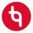 Logo TwynstraGudde Interim Management