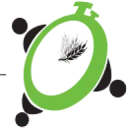 Logo Training Tweaks