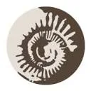 Logo Nibo Stone