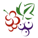 Logo Berrybrothers