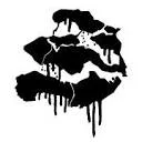 Logo Zeelandgraffiti.nl