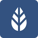 Logo van MoreApp
