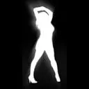 The Dutch Tina Turner Tribute logo