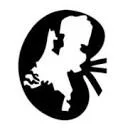 Logo Dutch Kidney Transplant Study Group