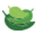 Logo Leaves Natural Projects