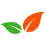 Logo van Fatrans