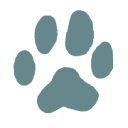 Logo Pet Studio