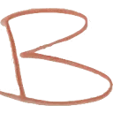 Logo van B-Digitized