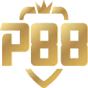 Logo van DUSHI like you
