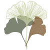 Logo Natuurlijk Afscheid