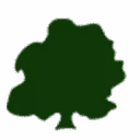 Logo Presunbv-onroerendgoedsuriname
