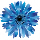 Logo Vasilok BV