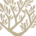 Logo Huygens