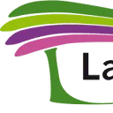 Logo Lapien Organizing