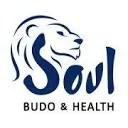 Logo Soul Budo AND Health