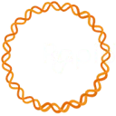 Logo Rapidemic