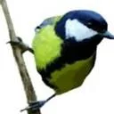 Logo MODERNEBOEKHOUDER.NL®