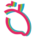 Logo Nederlands Hart Netwerk
