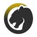 Logo Geva Solutions - *מיסוי הולנדי *בעברית