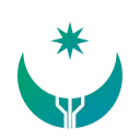 Logo Caspian International Travel Company