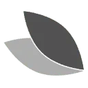 Logo Original First Tea