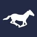 Logo HV Equestrian