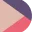 Logo van DomusSoft Project Intelligence