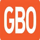 Logo van GBO-Electro