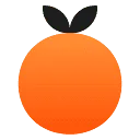 Logo Channel Orange