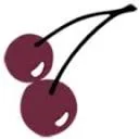 Cherridata logo