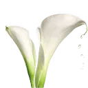 Logo Fornet