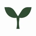 Logo NOVรMBER