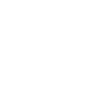 Logo Dutchwebs.com