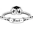Logo Plaatselijke Kamer van Verenigingen Fact