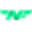 Logo The Night Flight