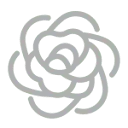 Logo Agnes Roos coaching en advies