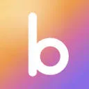 Logo van BwiseR