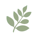 Logo Design by Tessa