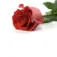 Logo van Annet Flowers