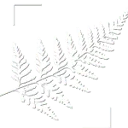 Logo De Padvinderij