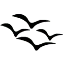 Logo 4LittleBirds