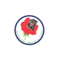 Logo SV-Audit B.V.