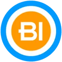 Logo Bright Intelligence