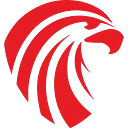 Logo Falcon Heitoezicht