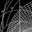 Logo Morphosis