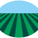 Logo Baremans Wynkopery