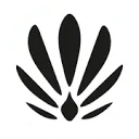 Logo Smooth BV Lycon - Gemology - Massada