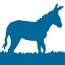 Logo Blue Donkey Media