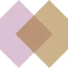Logo van Orsel Consultancy Project and Interim Management