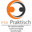 Logo FSV Praktisch